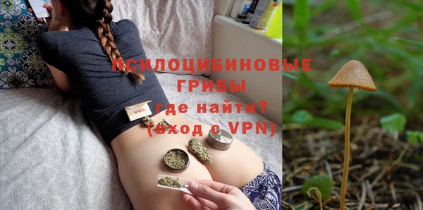ГАЛЛЮЦИНОГЕННЫЕ ГРИБЫ Семёнов