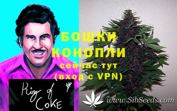 spice Белокуриха