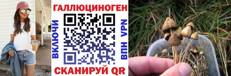 Псилоцибиновые грибы Psilocybine cubensis  наркота  Нерчинск 